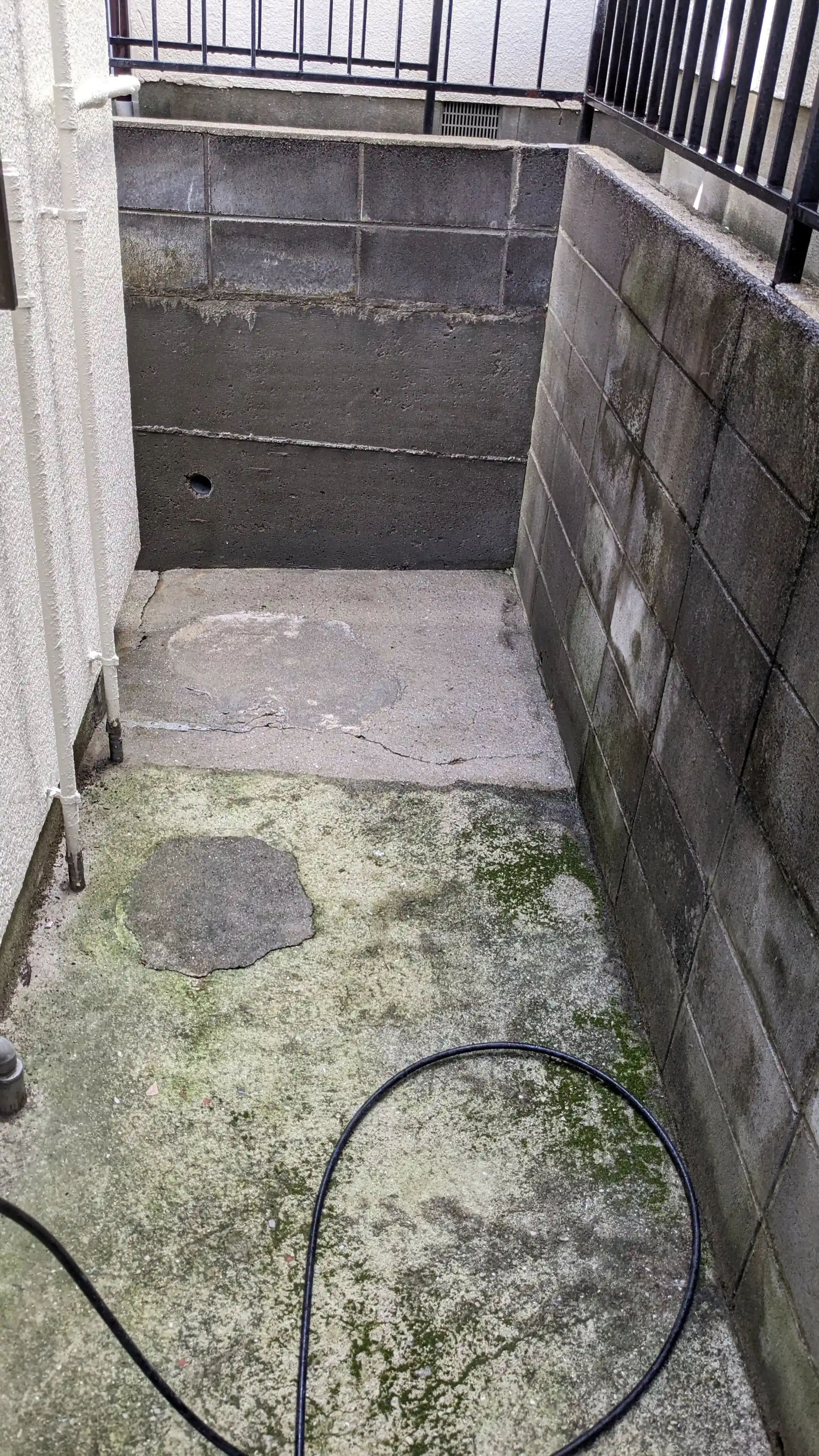 Side yard concrete and block wall with moss before pressure washing at a Japanese house